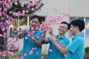 Tết sớm ở các trung tâm cai nghiện