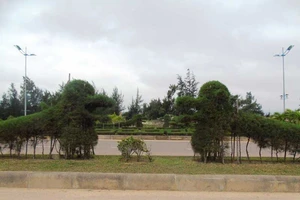 Mô hình rồng tại Đồng Hới xấu vì chưa hoàn thiện