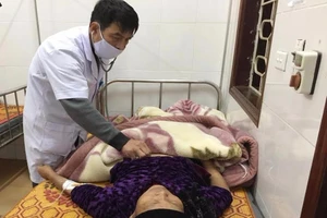 Suýt chết vì ăn rễ cây độc, tưởng là… nhân sâm