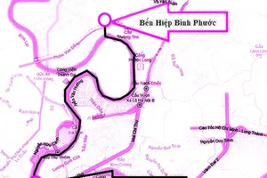 Buýt đường sông TP.HCM hoạt động ra sao? 