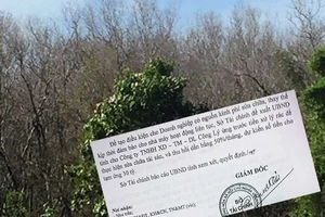 Có dấu hiệu được ưu ái sau khi tặng xe Lexus