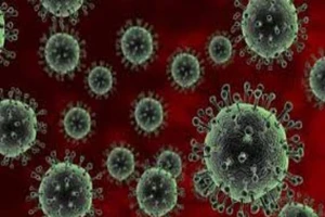 Dịch cúm H7N9 tại TQ đã tiến sát biên giới Việt Nam