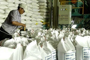 Doanh nghiệp ‘tố’ mất 20.000 USD xin giấy xuất khẩu gạo