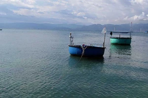 Lớp chất thải dày 3 m sẽ phủ 30 ha đáy biển Tuy Phong?