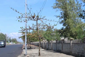 Lập dự án, bao đất vàng rồi… bỏ hoang