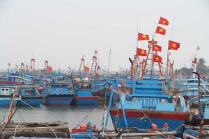 Tặng 3.000 cờ Tổ quốc cho ngư dân Quảng Ngãi