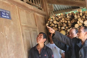 Nhà có số giữa đại ngàn Trường Sơn