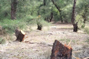 HTX cho người phá rừng phòng hộ, dân vây đưa về xã 