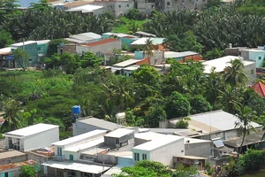 Đất trống không hợp quy hoạch được làm gì?