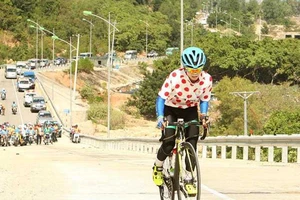 ‘Luật xe đạp là để giúp các cuarơ thi đấu tốt hơn!’