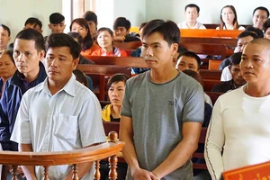 Hủy án vụ cưa gỗ khô trong rừng bị kết tội trộm cắp