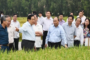 Thủ tướng: ‘Cần nhân rộng mô hình nông nghiệp sạch’