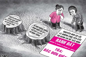 Đòi bồi thường 58 cây trúc, gáo bị đốn