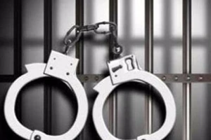 Bó tay với 1001 lý do 'trời ơi' để né đi tù