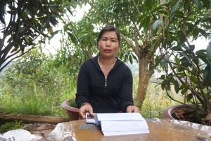 Ném đá trúng đầu, ông đau ông tố