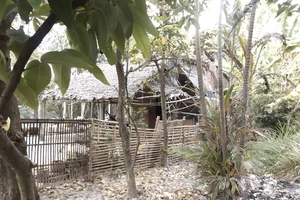  Thủ tướng: Gần đây xảy ra nhiều vụ xâm hại trẻ em...