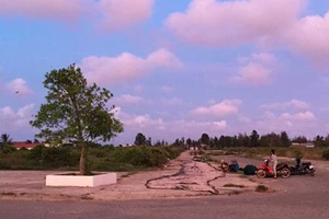 Dời đấu giá cho thuê đất công ở Bạc Liêu do sơ suất