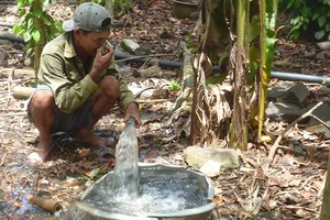 Các trại heo Đồng Nai đang ‘giết’ môi trường