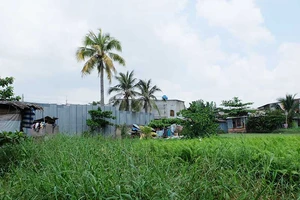 Dân khổ sở vì đất gắn mác ‘dân cư xây dựng mới’