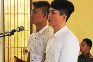 Phiên tòa phát 'tẩu hỏa' vì luật sư