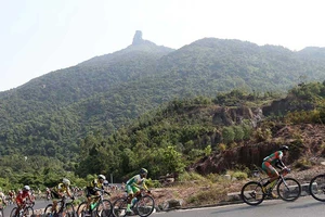 Lộ diện các ứng viên áo vàng