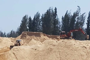 Ai cho xóa rừng phòng hộ để… kịp thi hoa hậu?