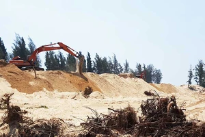 Vụ phá rừng: Phú Yên nhận khuyết điểm trước Thủ tướng 