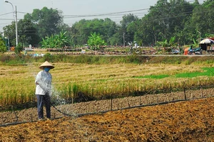 Tách thửa ở Bình Chánh: Vẫn tiếp tục bị ách!