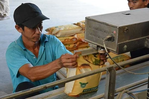 Hạt gạo Việt Nam bị chê