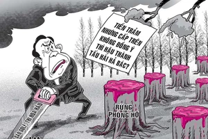 ‘Tiền trảm hậu tấu’: Trật tự xã hội bị đảo lộn