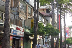 Đốn hạ, di dời 28 cây xanh ở đường Lê Lợi