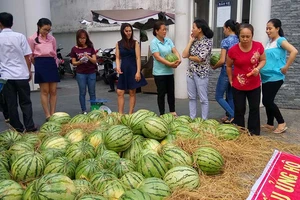 Sau ‘giải cứu’ nông sản: Cần giải pháp tận gốc
