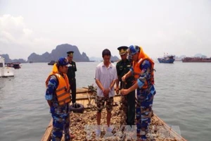 Tiêu hủy 9 tấn hàu giống không rõ nguồn gốc