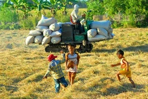 Đánh mất mùa hè của trẻ 