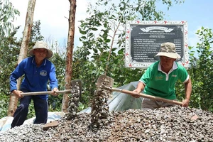 Đội cầu đường của những lão nông ngoài 60 tuổi 