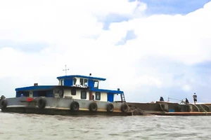 Ngang nhiên khai thác cát trước mặt công an