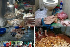 Nan giải bài toán ‘Ăn gì cũng chết’