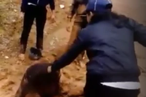 Học trò đánh ghen: Đừng đổ thừa mãi cho giáo dục 