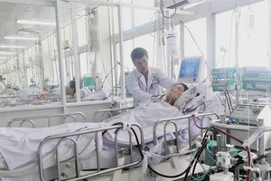 Mất chân, tử vong do kiến, gián, ve sầu...