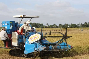 Tích tụ ruộng đất phải theo quy luật thị trường