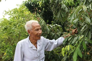 Chuyện khởi nghiệp của ông Năm Phích 90 tuổi 