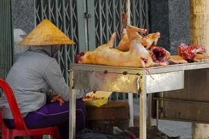 Chó xà mâu, chó trúng bả thành thịt ngon!