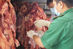 Lạm dụng kháng sinh, bệnh không thuốc chữa 