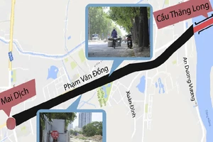 Chặt 1.300 cây xanh để mở đường là bắt buộc? 