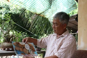 Giống nhãn Idol của ông Út Hiện