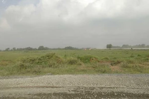 Thanh tra công ty của chồng phó bí thư Đồng Nai