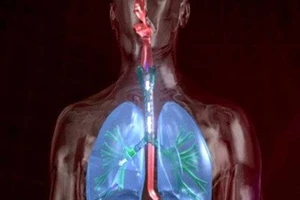 Coi chừng con trẻ bị chết đuối khô 