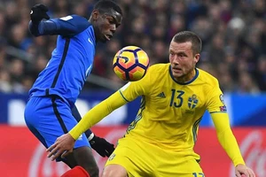 ‘Gà trống’ bị phản đòn!