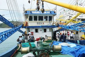 Công an đã vào cuộc vụ tàu vỏ thép 