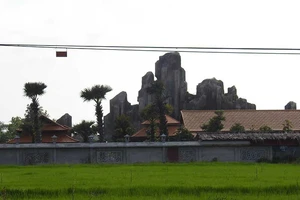 Xem xét cho ‘núi giữa đồng ở Bạc Liêu’ tồn tại 